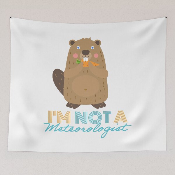 Item preview, I'm not a Meteorologist designed and sold by 397HOUSE Your happy time.