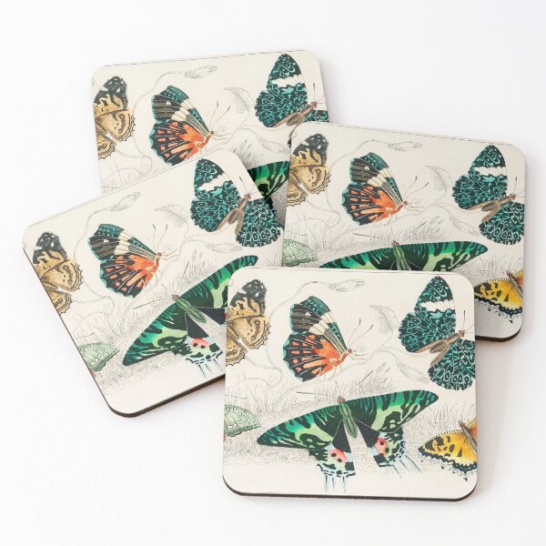 Item preview, Butterflies (1820) - Biological Illustration designed and sold by SALON DES ARTS.