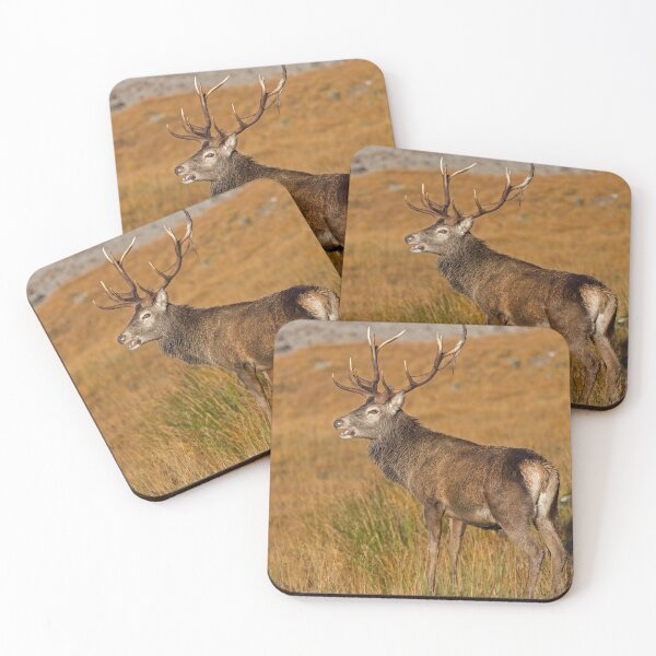 Item preview, Royal Red Deer Stag designed and sold by derekbeattie.