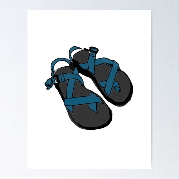 Drawing of Chaco Sandals Blue