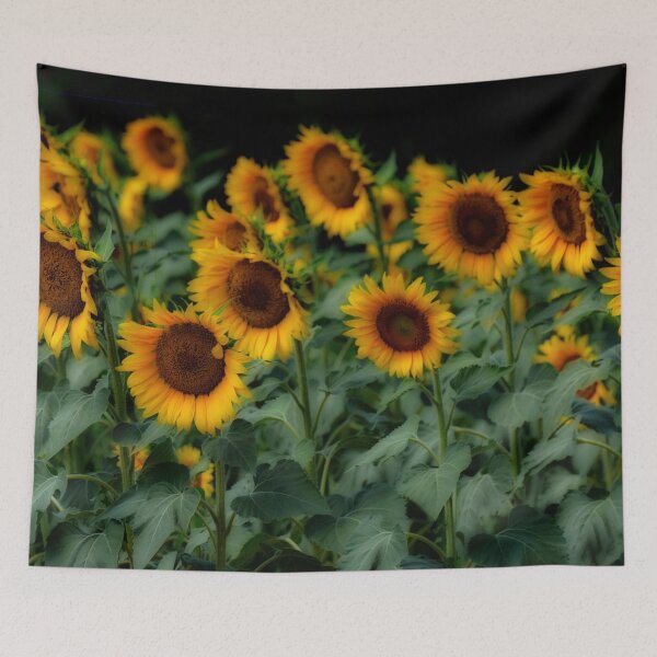 Item preview, Sunflowers in late July designed and sold by EdwardMonet.