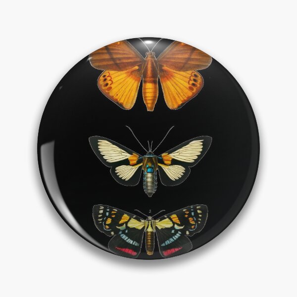 Item preview, Moths (1892) - Biological Illustration designed and sold by SALON DES ARTS.