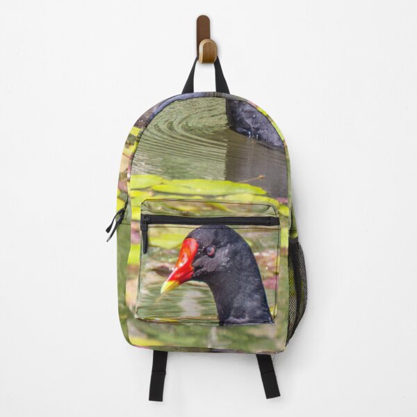 Item preview, Moorhen designed and sold by Dave Hare Photography.