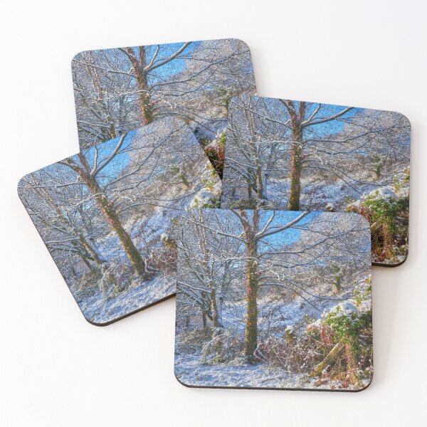 Item preview, Winter Woodland Scene, Bargoed Ancient Woodland designed and sold by VnGphoto.