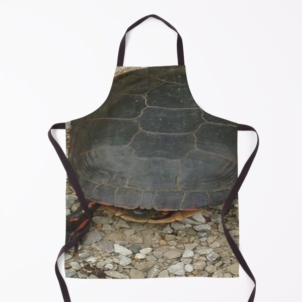 Item preview, Bashful Turtle designed and sold by William Franklin-Cromwell.
