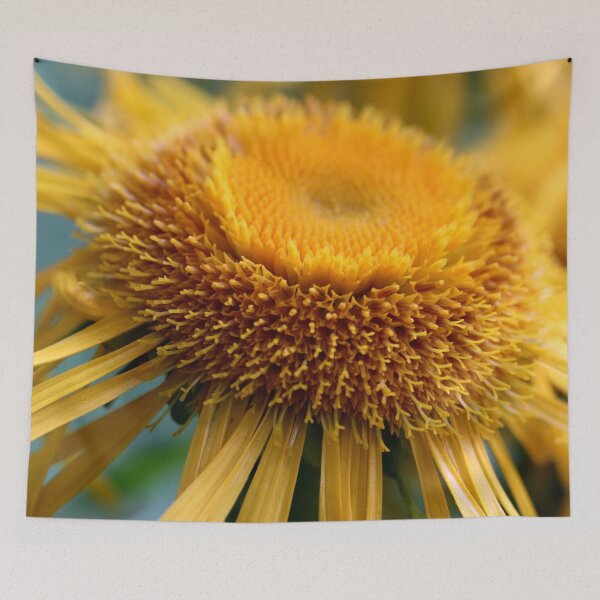Item preview, Inula Cheerfulness designed and sold by cuprum.