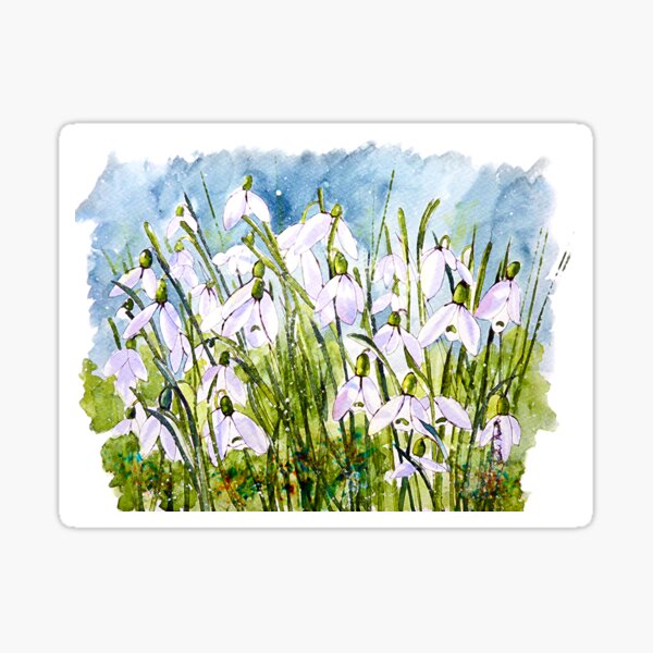 Snowdrops Sticker