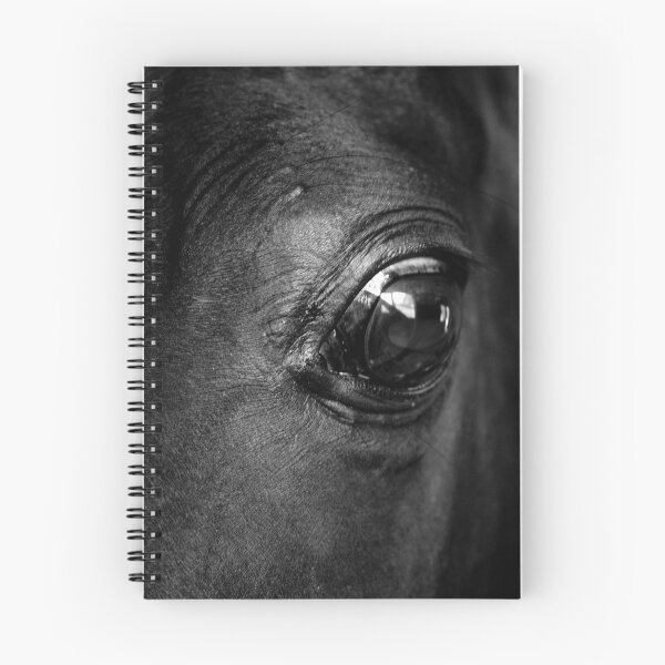 Aperçu de l'œuvre eye 03 créée et vendue par Andre Baljeu.
