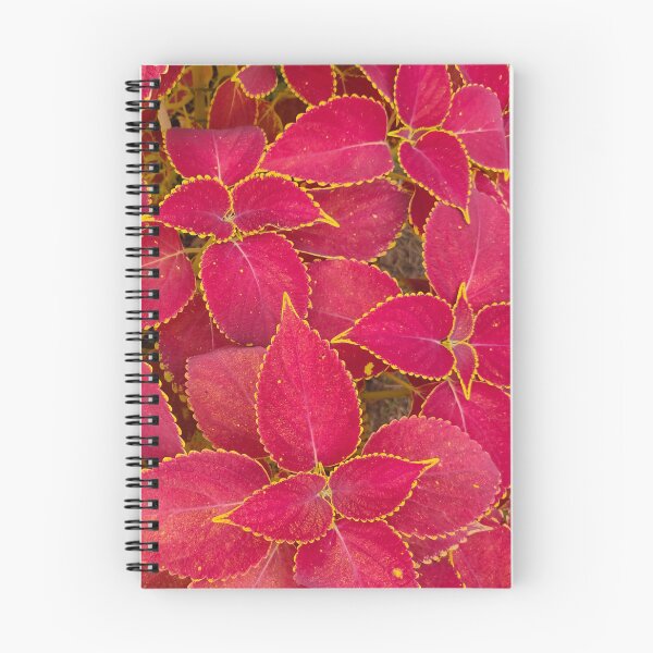 Item preview, Coleus Plant Leaves Red designed and sold by Shash31.