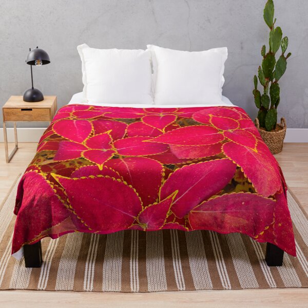Item preview, Coleus Plant Leaves Red designed and sold by Shash31.