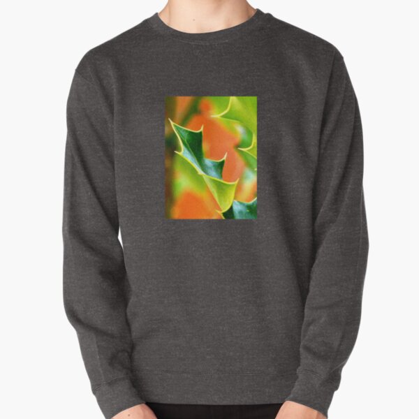 Ilex leaf closeup Pullover Sweatshirt