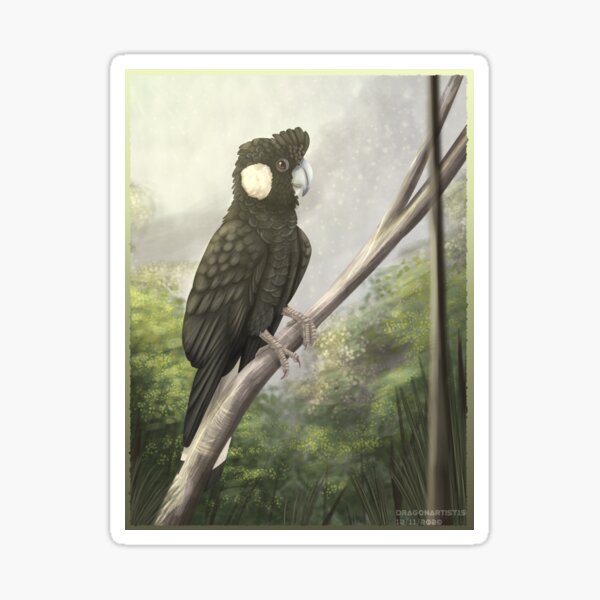 Item preview, Yellow-tailed Black cockatoo portrait designed and sold by DragonArtist15.