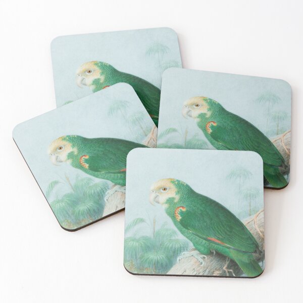 Item preview, Parakeet designed and sold by Studio MaC.