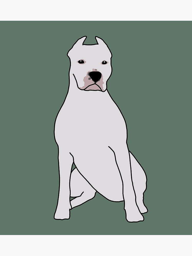 Dogo Argentino Poster for Sale by taylorrowan