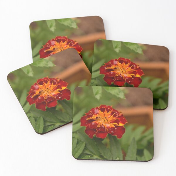 Item preview, Marigolds designed and sold by vivianabanales.