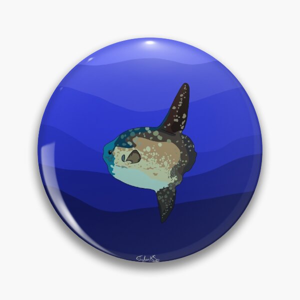 Artikelvorschau, Mola Mola (Mondfisch) entworfen und verkauft von taylorksea.