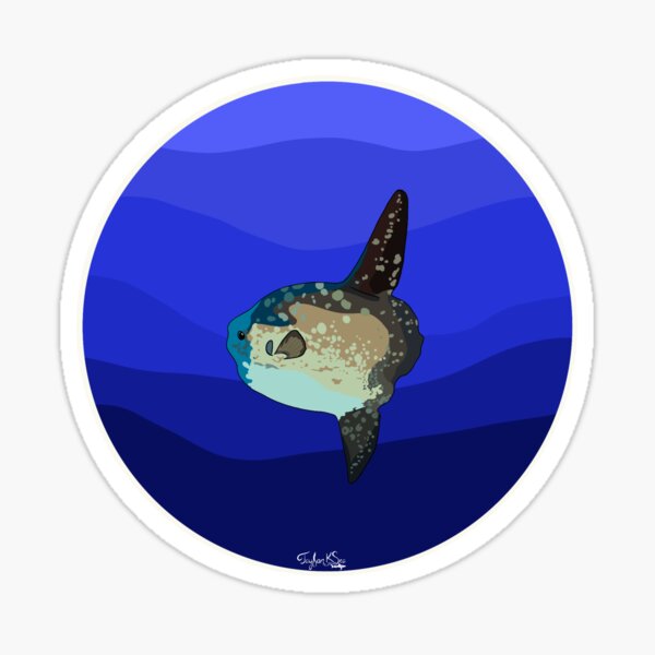 Vista previa del artículo con la obra «Mola Mola (pez luna)», diseñado y vendido por taylorksea.