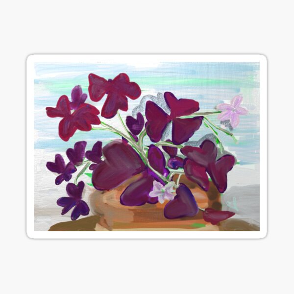 Oxalis or Shamrock Plant Sticker
