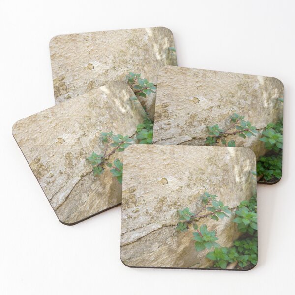 Item preview, Moldy Flowered Wall Photograph designed and sold by Gevover.