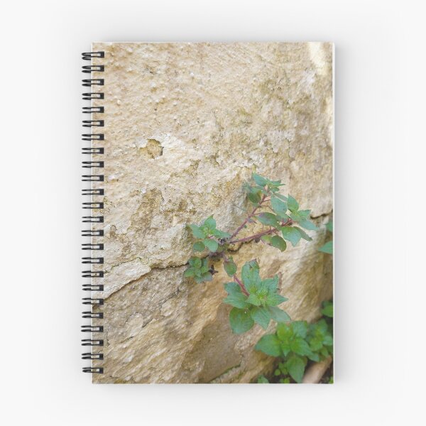Item preview, Moldy Flowered Wall Photograph designed and sold by Gevover.