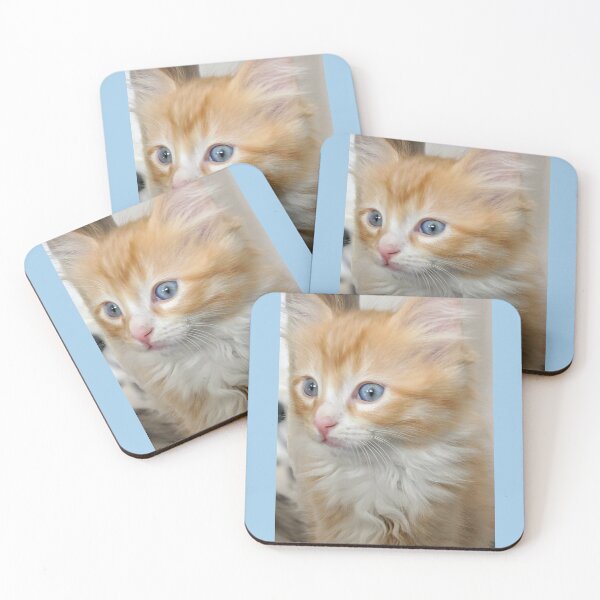 Item preview, Fluffy Ragdoll Mainecoon kitten designed and sold by Fluffycat2020.