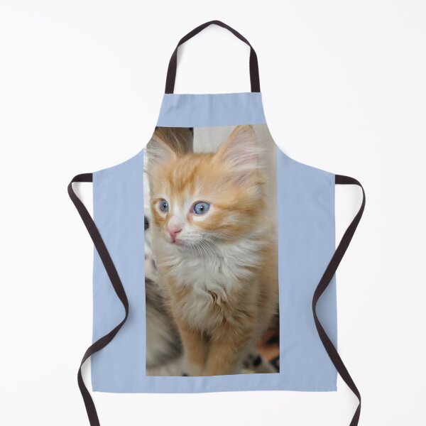 Item preview, Fluffy Ragdoll Mainecoon kitten designed and sold by Fluffycat2020.