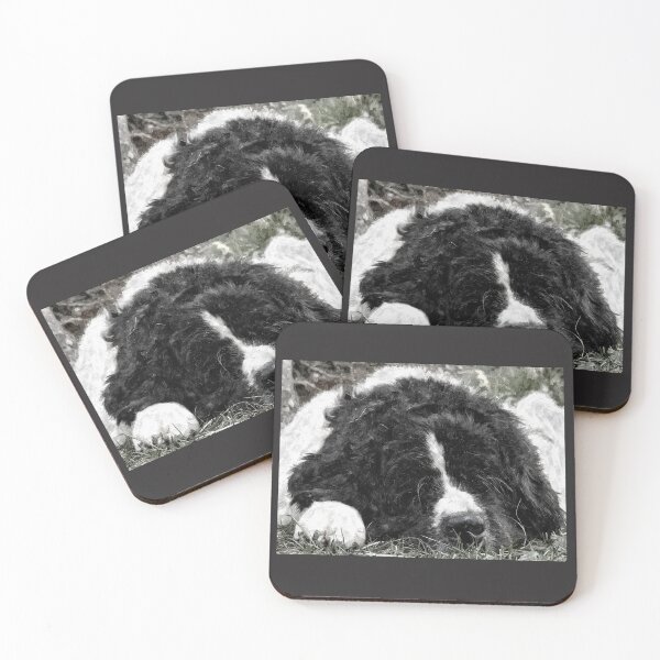 Item preview, Sleeping Landseer Newfoundland Dog designed and sold by PurpleFysh.