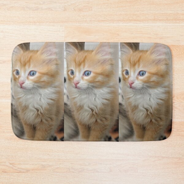 Item preview, Fluffy Ragdoll Mainecoon kitten designed and sold by Fluffycat2020.