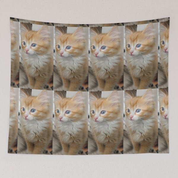 Item preview, Fluffy Ragdoll Mainecoon kitten designed and sold by Fluffycat2020.