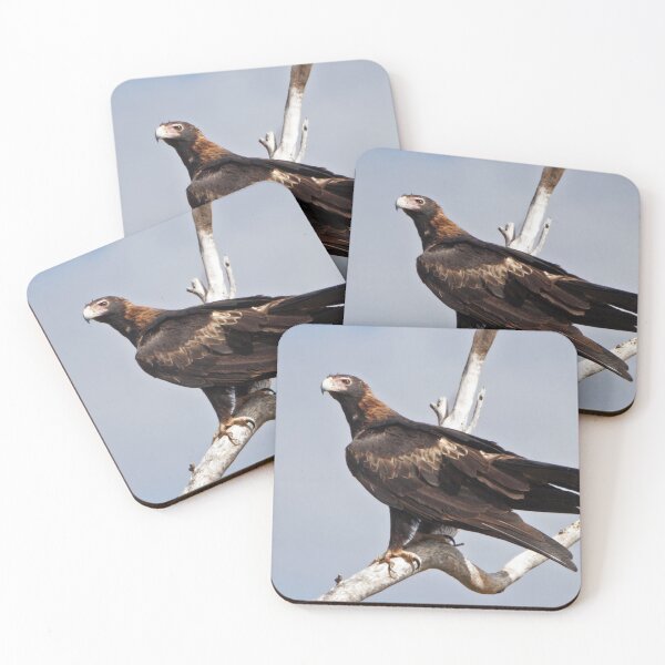 Item preview, Wedged-tailed Eagle designed and sold by Robert Elliott.