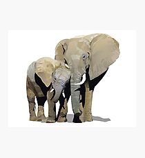 Elephant Love Photographic Print