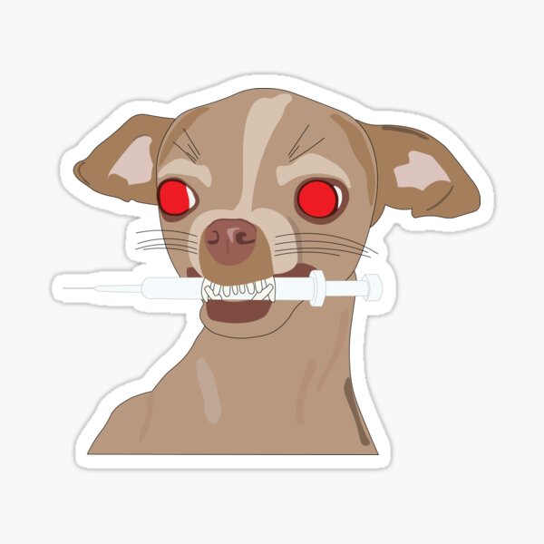 Angry Chihuahua Stickers Redbubble