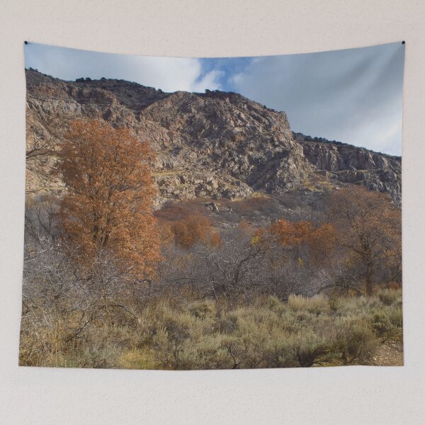 Item preview, Fall mountain woods with rocks, boulders and trees designed and sold by Ventures1.