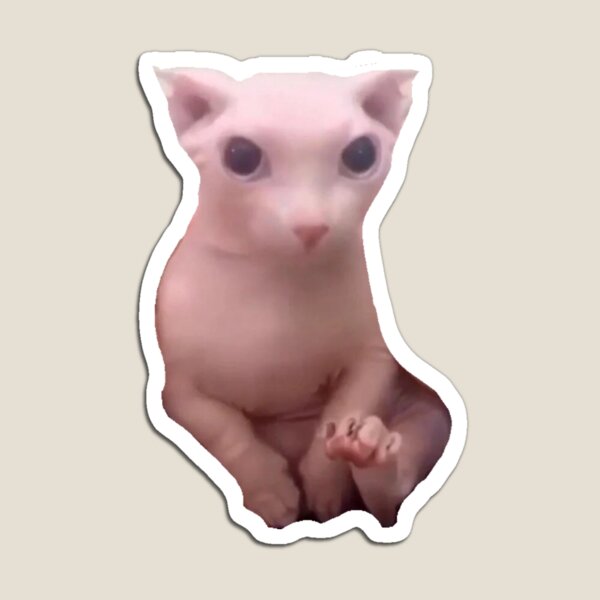 Item preview, bingus cat designed and sold by zanbo.