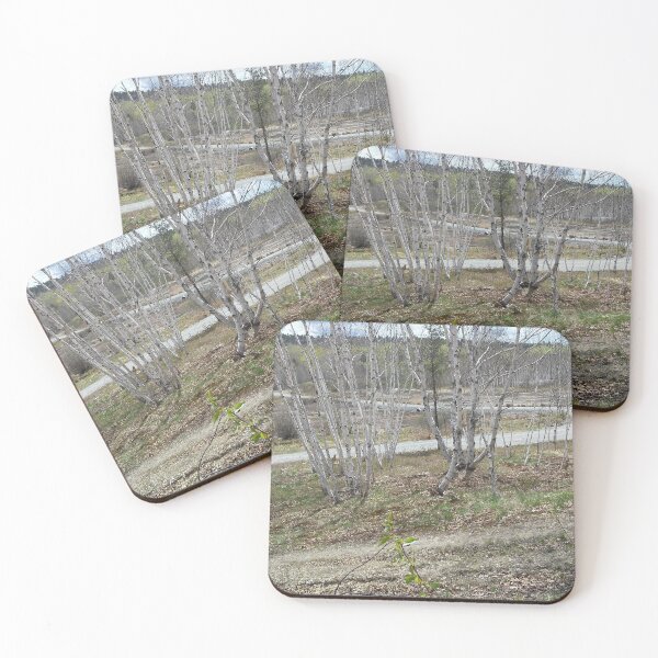 Item preview, Trails designed and sold by Ian Wylie.