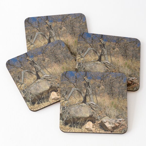 Item preview, Fall mountain woods with rocks, boulders and trees designed and sold by Ventures1.