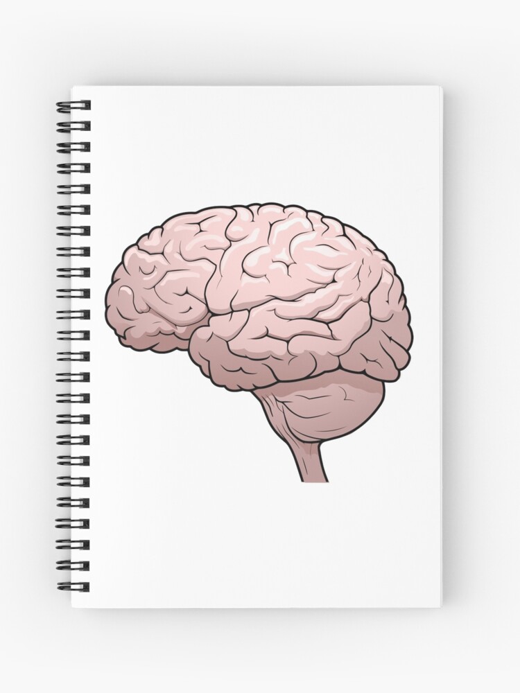 Cuaderno de espiral «Dibujo de cerebro humano» de befehr | Redbubble