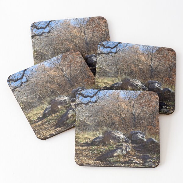 Item preview, Fall mountain woods with rocks, boulders and trees designed and sold by Ventures1.