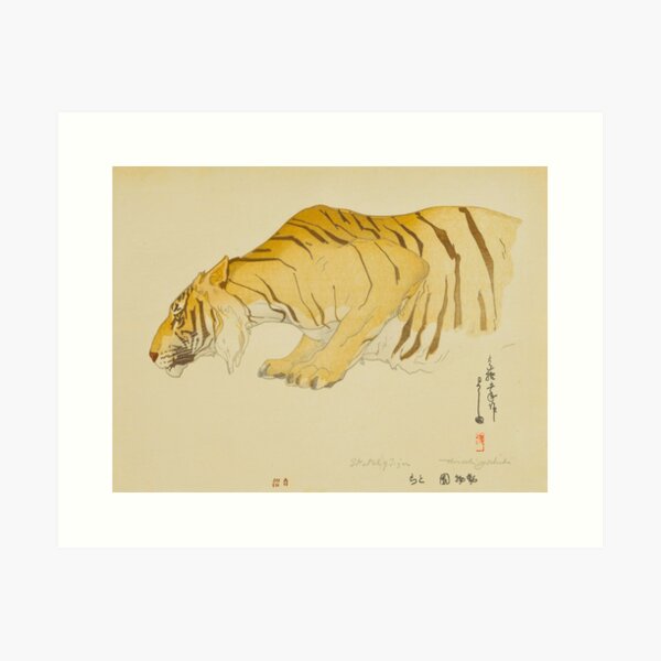 Sketch of Tiger (Dobutsu-En, Tora) by Hiroshi Yoshida Vintage Japanese Woodblock Print East Asian Culture Art Print