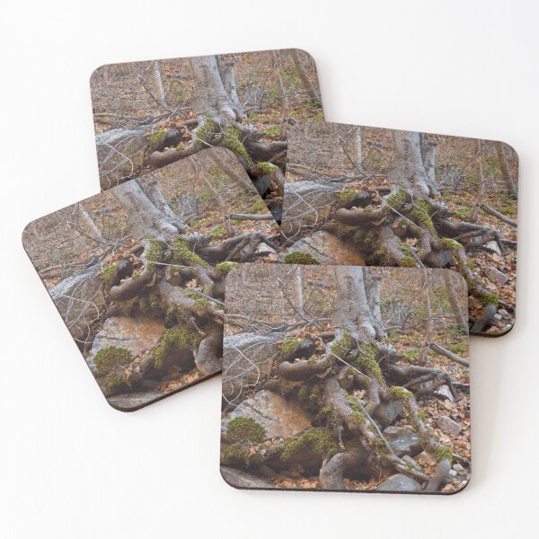 Item preview, Fall mountain woods with rocks, boulders and trees designed and sold by Ventures1.