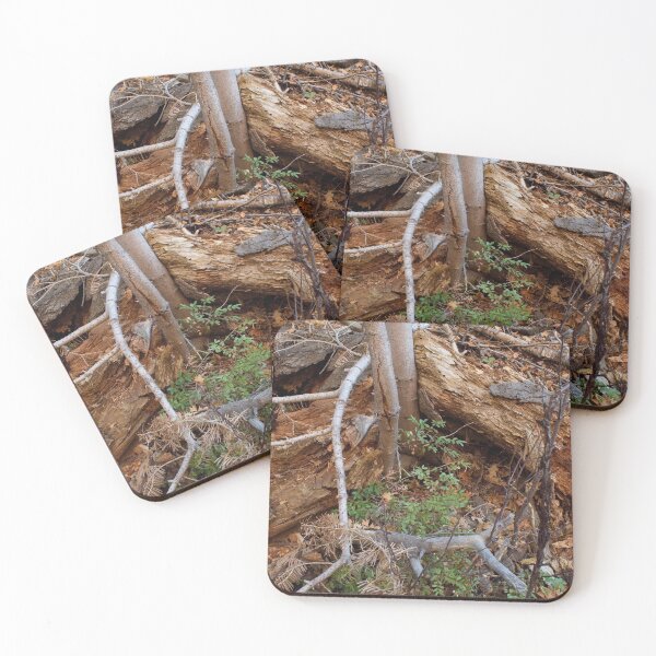 Item preview, Fall mountain woods with rocks, boulders and trees designed and sold by Ventures1.