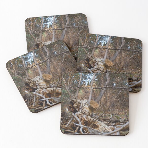 Item preview, Fall mountain woods with rocks, boulders and trees designed and sold by Ventures1.