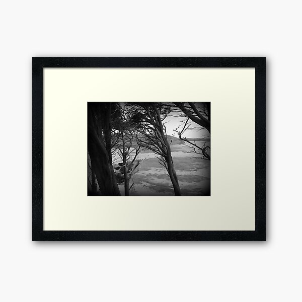 Through The Windswept Trees - Black and White Landscape Framed Art Print