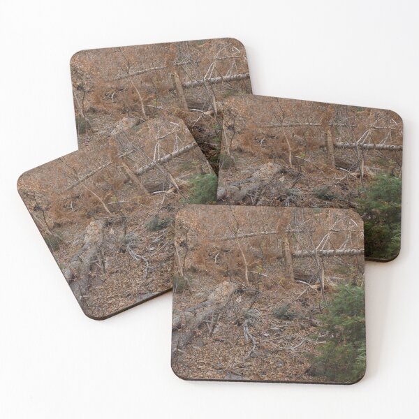 Item preview, Fall mountain woods with rocks, boulders and trees designed and sold by Ventures1.