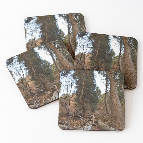 Item preview, Fall mountain woods with rocks, boulders and trees designed and sold by Ventures1.