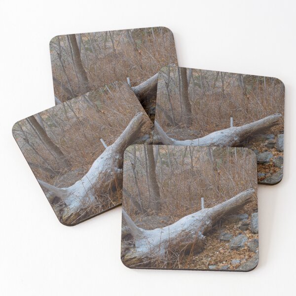 Item preview, Fall mountain woods with rocks, boulders and trees designed and sold by Ventures1.
