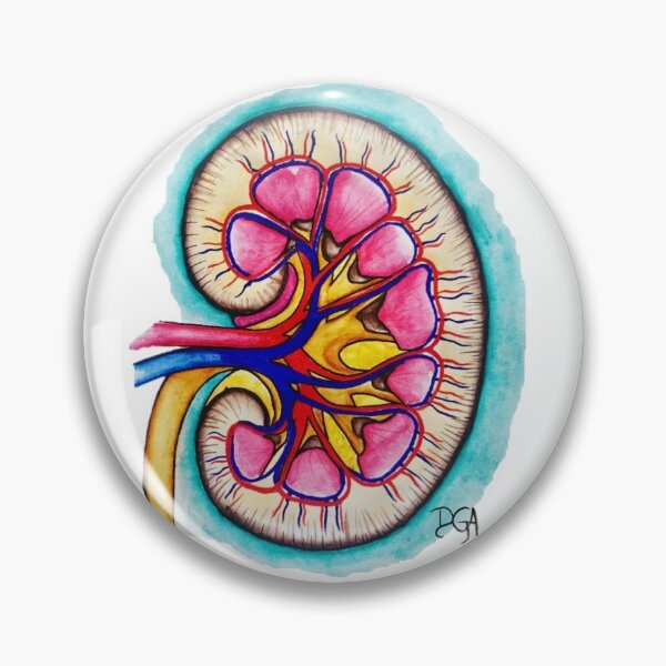 Item preview, Kidney designed and sold by DanielaGaleanoA.