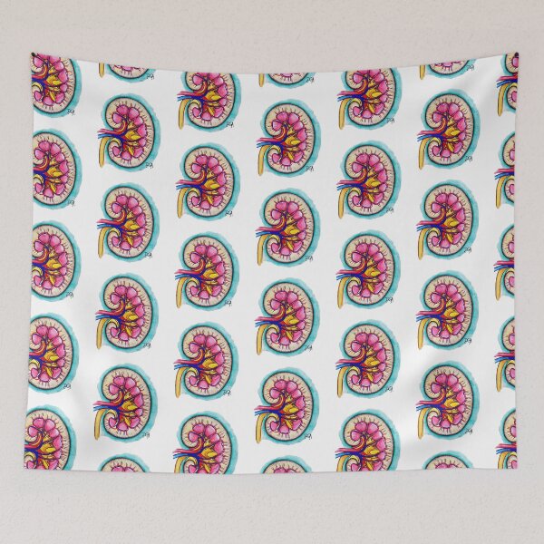 Item preview, Kidney designed and sold by DanielaGaleanoA.