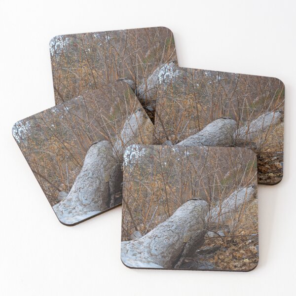 Item preview, Fall mountain woods with rocks, boulders and trees designed and sold by Ventures1.