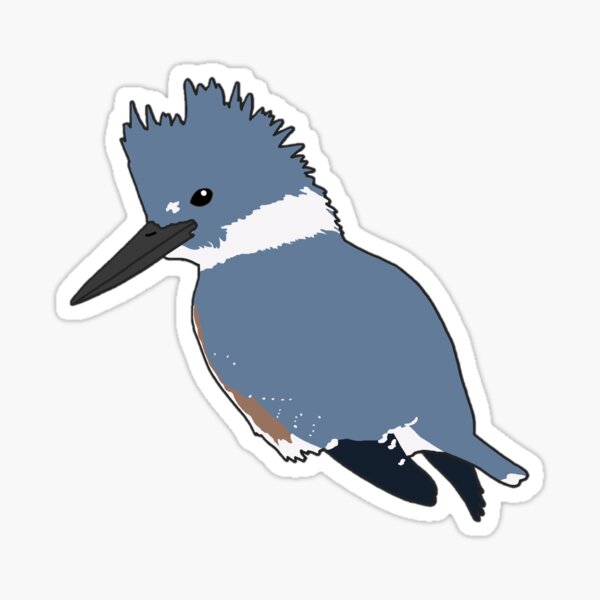 Item preview, Belted Kingfisher designed and sold by taylorrowan.